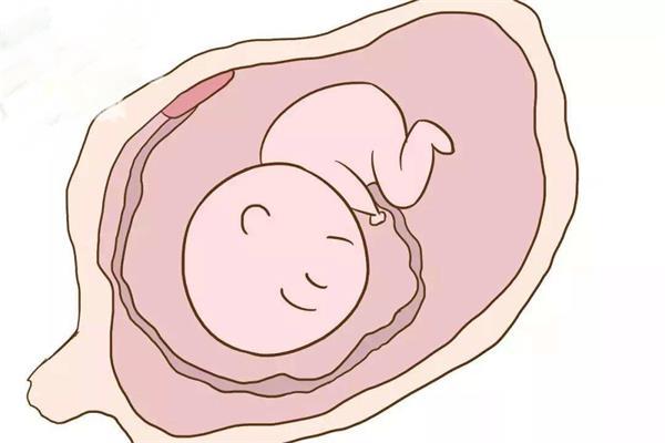 做试管婴儿后需要保胎，一共要花多少钱？