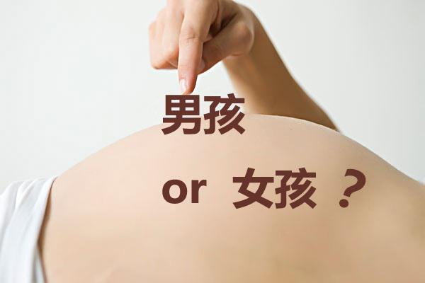 试管婴儿27周的B超单怎么看出宝宝性别？