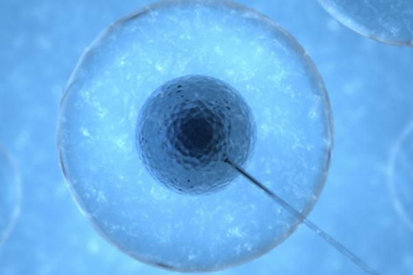 泰国试管婴儿的费用大约需要多少钱？如何节省费用？