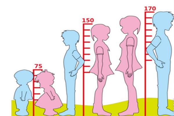 做试管婴儿生出来的孩子身高与父母身高有关吗？