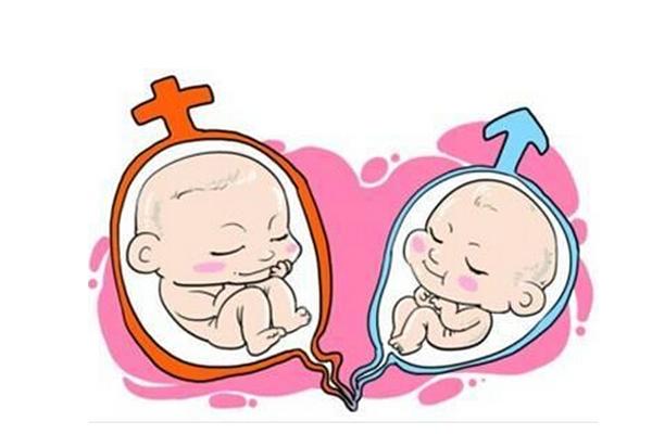 在上海做试管婴儿时是否可以选择双胞胎?