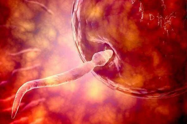 有做试管婴儿移植冻精成功怀孕的案例吗？