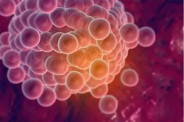 做试管婴儿移植冻胚需要多少钱？还有没有附加费用？