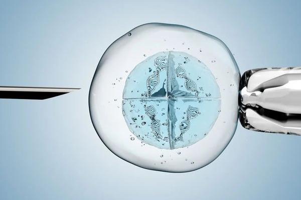 在格鲁吉亚做试管婴儿需要注意什么？出现意外怎么办？