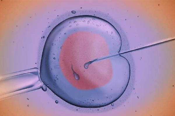 在临沂做试管婴儿需要多长时间?要经历哪些步骤?