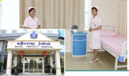 柬埔寨试管婴儿的费用包含哪些项目？是否可提供定制方案？