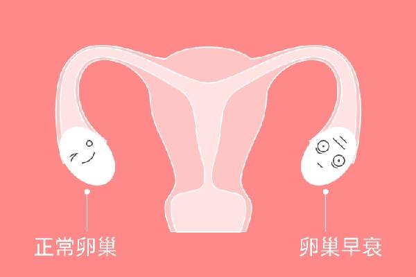 33岁卵巢早衰可以做试管婴儿吗？成功率会受到影响吗？