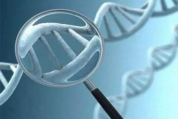 做试管婴儿能避免遗传病吗?还有其他方法可以避免遗传问题吗?