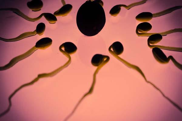 少精弱精在深圳做试管婴儿的具体流程是怎么样的？