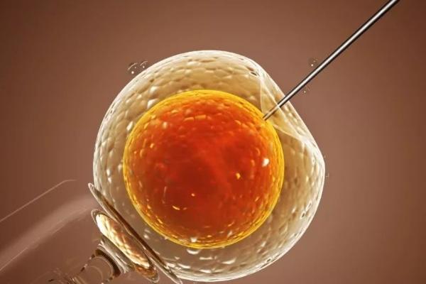 在香港做试管婴儿的费用是多少？为什么试管会这么贵？