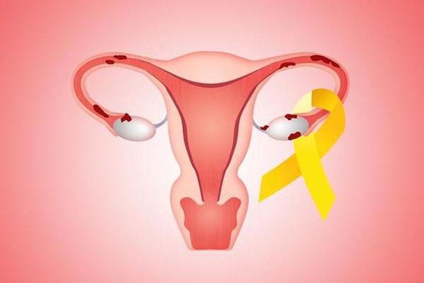 左侧输卵管炎在海南做试管婴儿的成功率高吗？哪家医院技术最好？