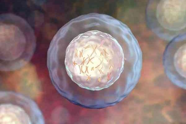 精子活力差在山东做试管婴儿可以包生男孩吗?