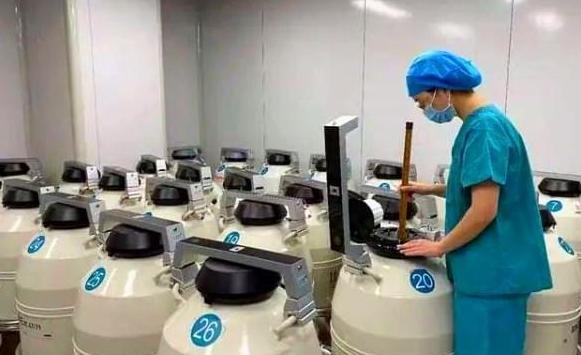冷冻胚胎做试管二胎的费用是多少?