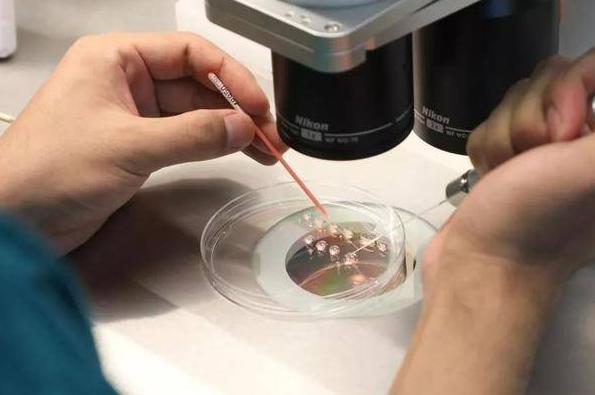 2023年想去日本做试管婴儿，这项计划需要多少钱？