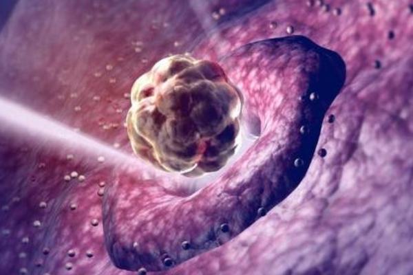 未来济南的试管婴儿价格会有变化吗？技术会提高吗？