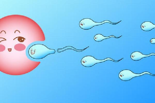 做试管婴儿移植冷冻胚胎需要多长时间？要等多久才能知道是否怀上？