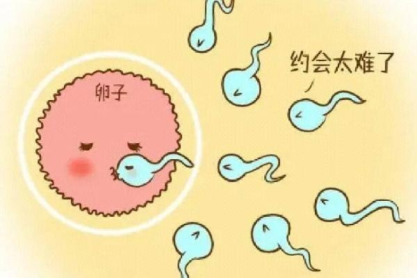 在徐州做试管婴儿的费用大概是多少？期间需要注意什么？