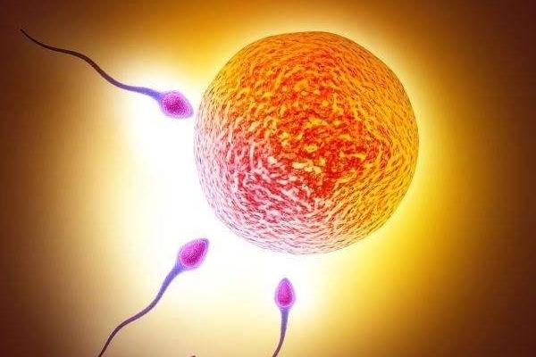 宫腔粘连患者在国内哪家医院可以做供卵试管婴儿?如何选择医院?