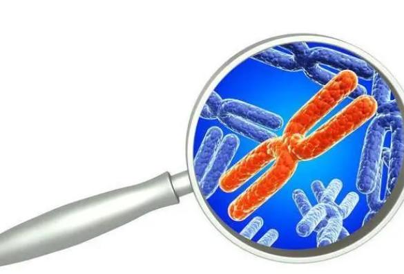 6号染色体异常在山大生殖做三代试管成功率高吗？