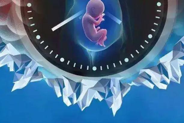 试管移植后第二天上班久坐对胚胎着床有影响吗?