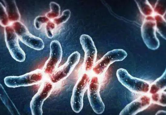 一侧卵巢囊肿在杭州做试管准备10万够不够?