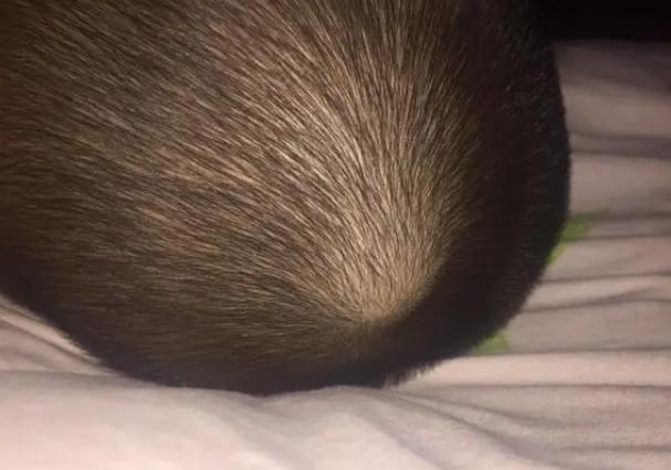 新生儿头部出现感染应该如何应对?