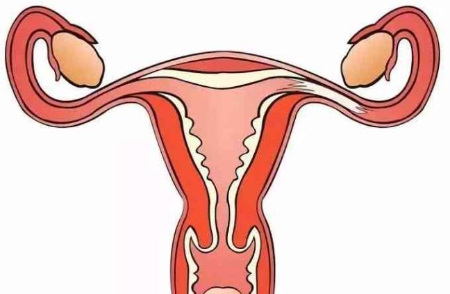 40岁女人子宫薄应该怎么办?
