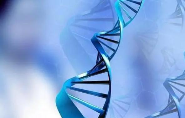 高龄试管连续失败三次还有必要继续吗?