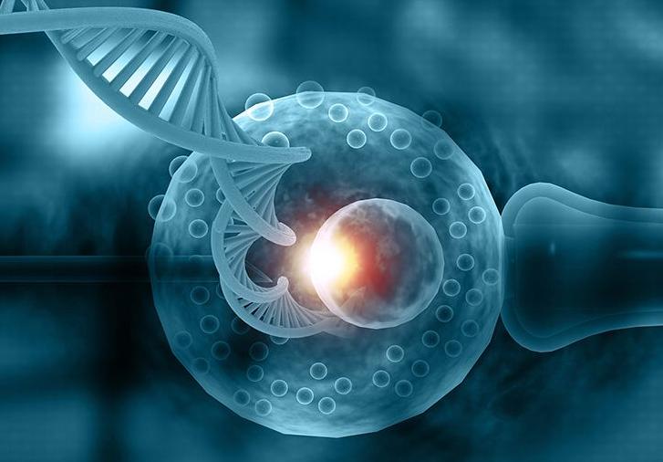 试管移植前身体需要满足哪些条件才能移植？