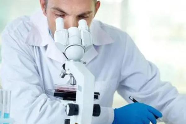 泰国试管婴儿技术水平好不好?