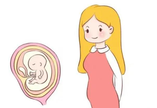国内未婚做试管婴儿是违法的吗?