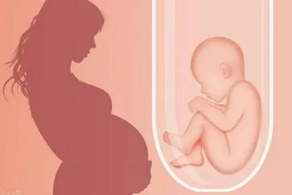 试管成功后打喷嚏会影响胎儿发育吗?