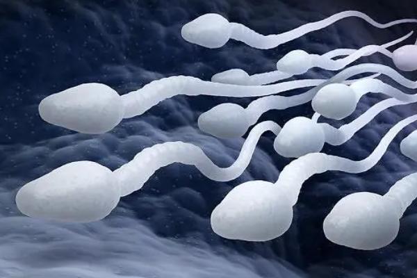 男性少精症做二代试管婴儿的成功率是多少?