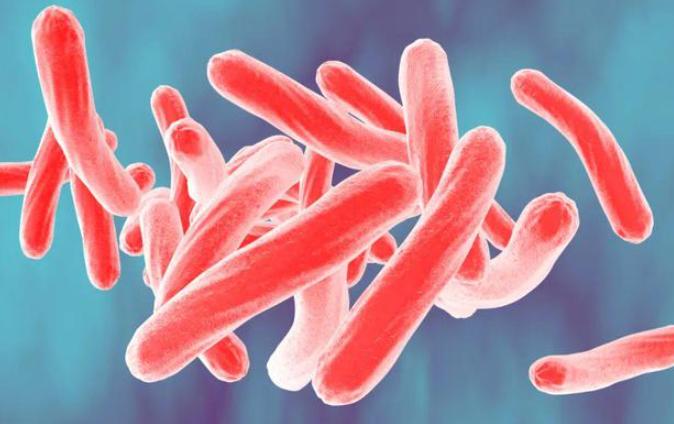 试管婴儿移植前做腹扎效果会更好吗?