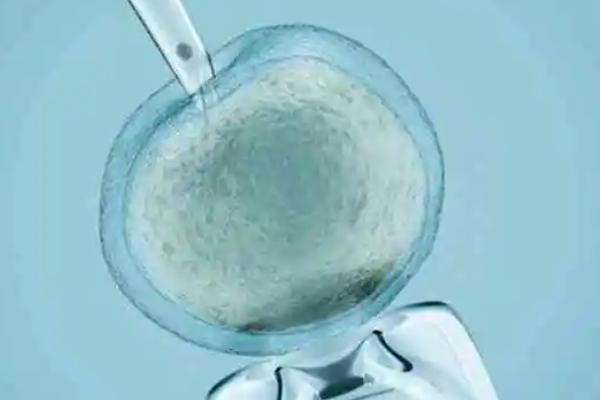 试管人工周期移植冻胚和囊胚的时间是不是一样的?