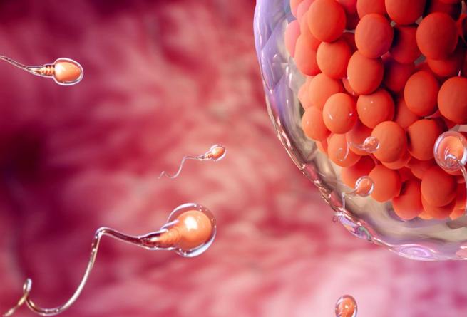 试管促排10天取卵只取了四个是多还是少?