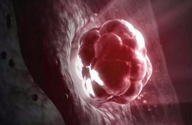 试管婴儿囊胚移植的第六天才着床算晚吗?