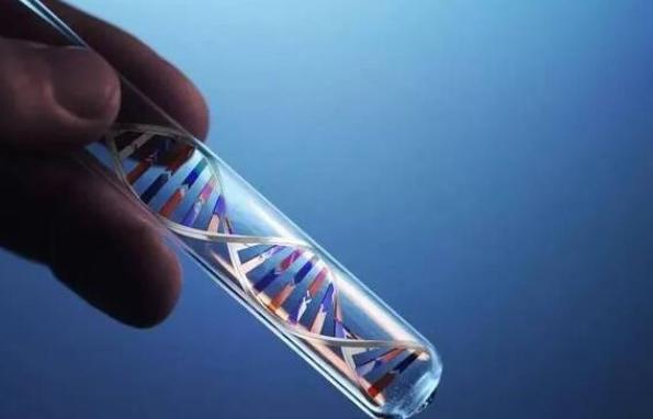 宫颈癌早期做三代试管有哪些利弊？