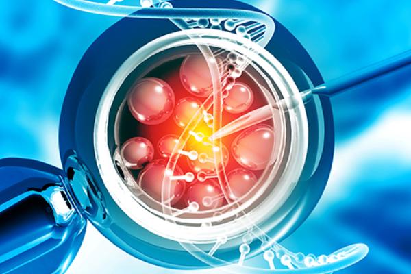 广州和深圳哪里做三代试管的成功率更高?