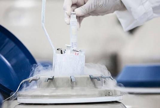 一代试管婴儿是如何对精子进行优化的？