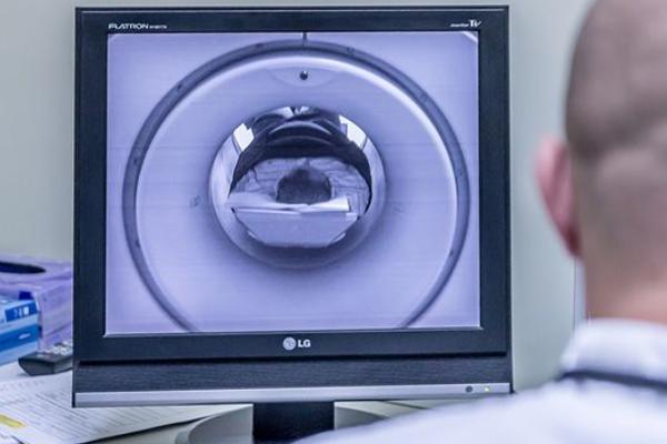 为什么试管移植马赛克胚胎生出来的宝宝也是健康的?