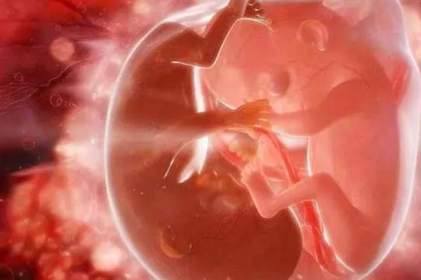 200斤胖多囊女性可以做三代试管生孩子吗?