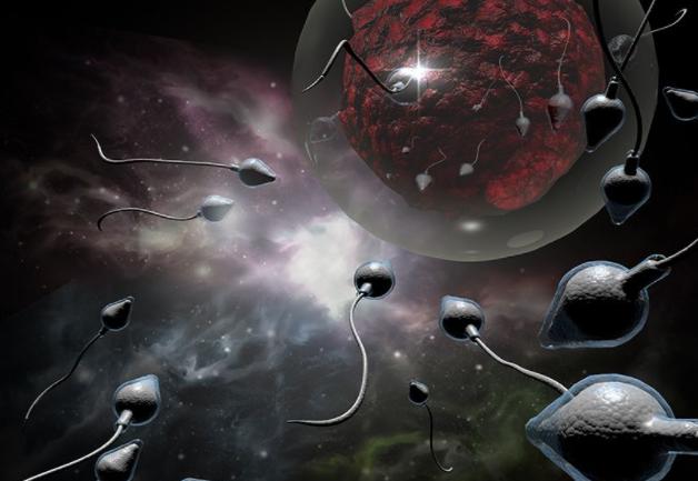 30岁前列腺钙化做三代试管成功率低不低?