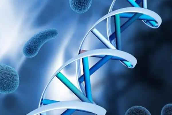 三代试管婴儿移植囊胚生男孩多还是女孩多?