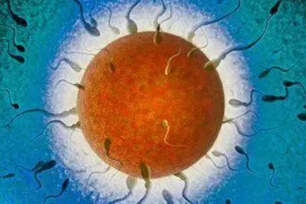 女性做三代试管前身体应该做好哪些准备?