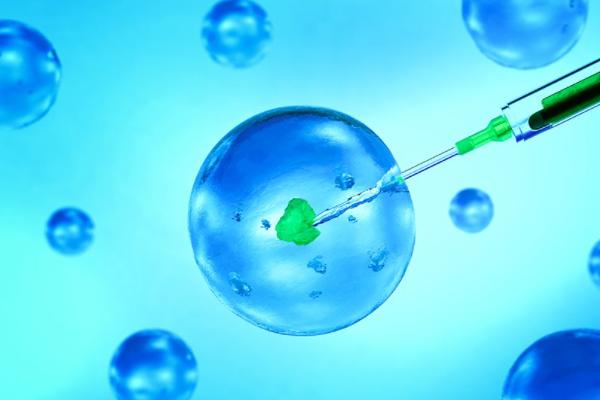 有没有人知道试管超长方案的流程是怎么样的？