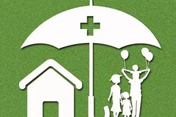 夫妻双方地中海贫血症能选择三代试管生孩子吗？