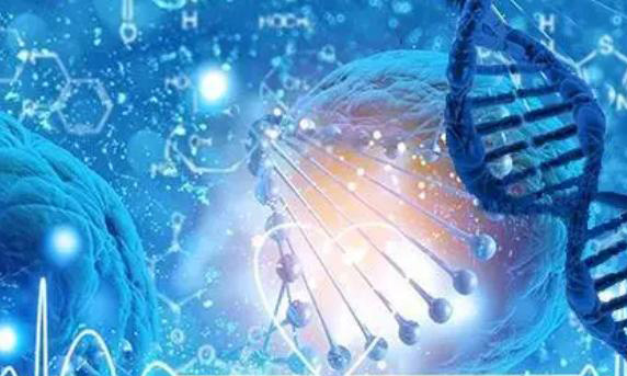 为什么三代试管基因筛查后还生出畸形儿？