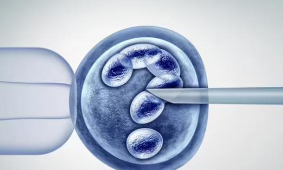 2023呼和浩特做三代试管婴儿需要多少钱？