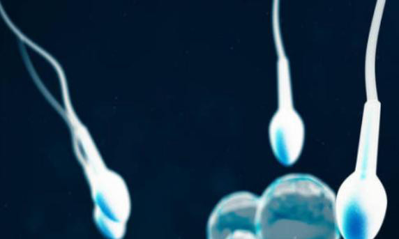 三代试管进行儿pgd与pgs的费用需要多少?